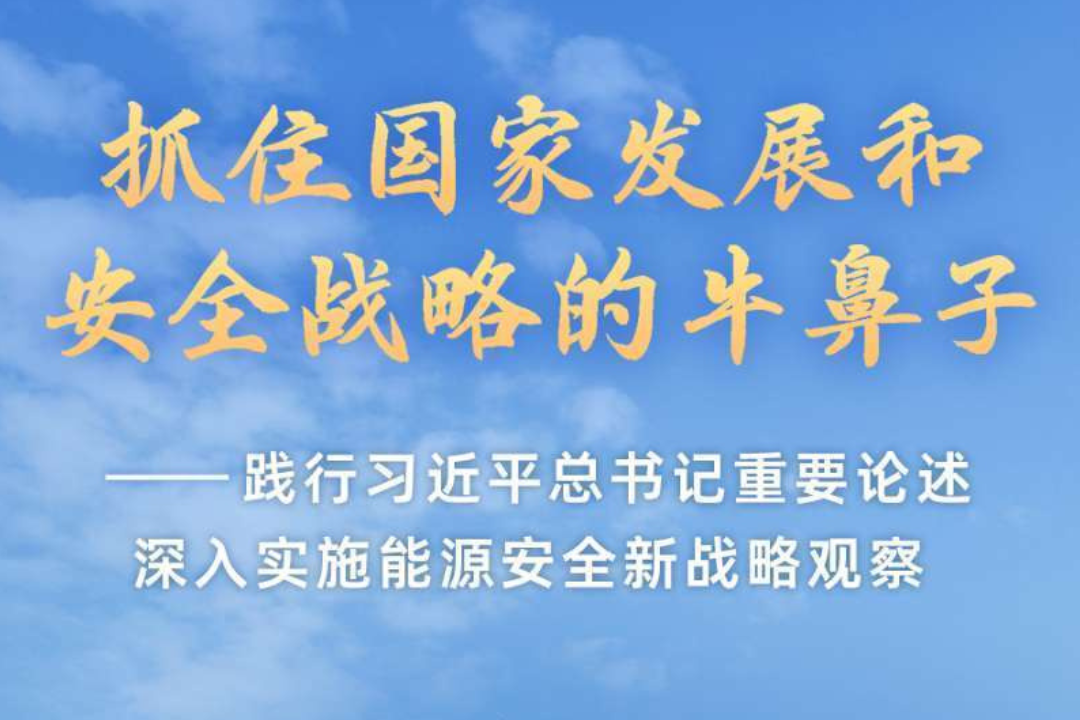 踐行習(xí)近平總書記重要論述深入實施能源安全新戰(zhàn)略